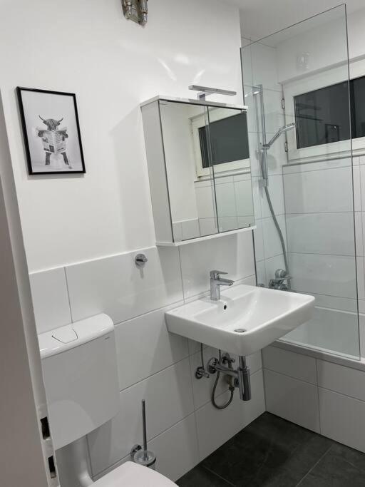 Apartamento Penthouse, Offenburg,Europapark Exterior foto