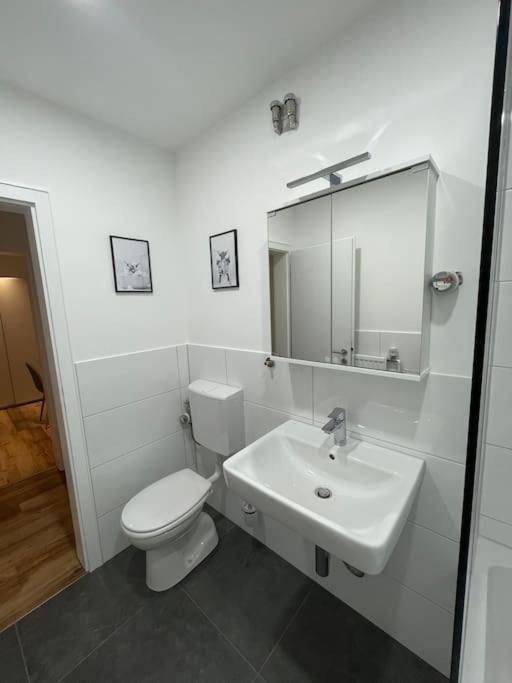 Apartamento Penthouse, Offenburg,Europapark Exterior foto